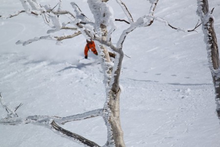 f:id:jukuchou:20100219223021j:image f:id:jukuchou:20100219223021j:image