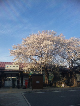f:id:jukuchou:20100414165612j:image f:id:jukuchou:20100414165612j:image