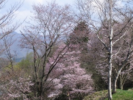 f:id:jukuchou:20100507115346j:image f:id:jukuchou:20100507115346j:image