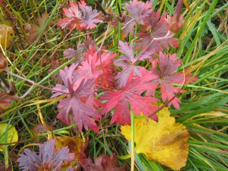 f:id:jukuchou:20100926204348j:image f:id:jukuchou:20100926204348j:image