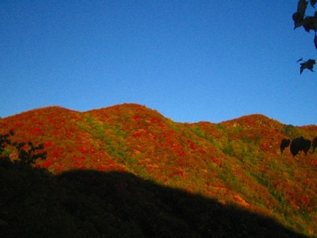 f:id:jukuchou:20101008133321j:image f:id:jukuchou:20101008133321j:image