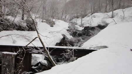 f:id:jukuchou:20120514105842j:image f:id:jukuchou:20120514105842j:image