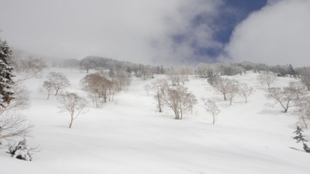 f:id:jukuchou:20120514112333j:image f:id:jukuchou:20120514112333j:image