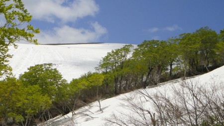 f:id:jukuchou:20120606110503j:image f:id:jukuchou:20120606110503j:image