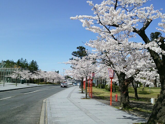 f:id:jukuchou:20160415172508j:image f:id:jukuchou:20160415172508j:image