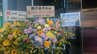 f:id:julietta_skmt:20160531100610j:plain