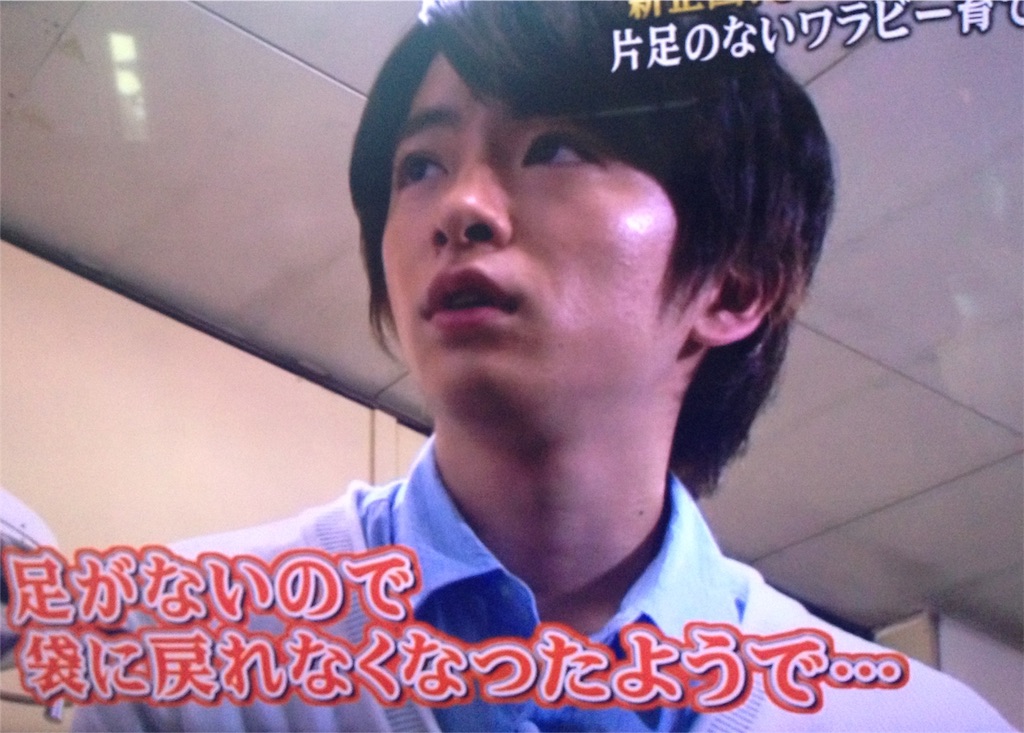 f:id:jumpeanuts:20160516161531j:image f:id:jumpeanuts:20160516161531j:image
