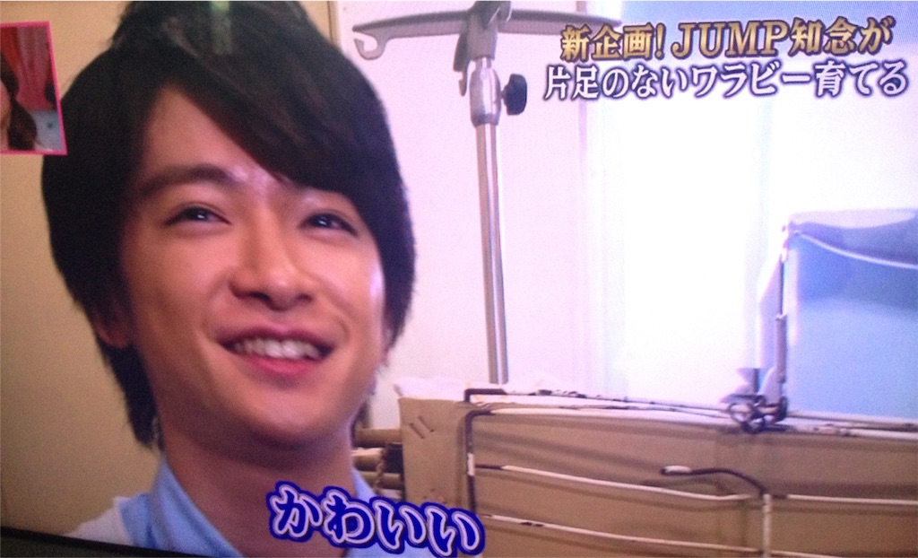 f:id:jumpeanuts:20160516170627j:image f:id:jumpeanuts:20160516170627j:image