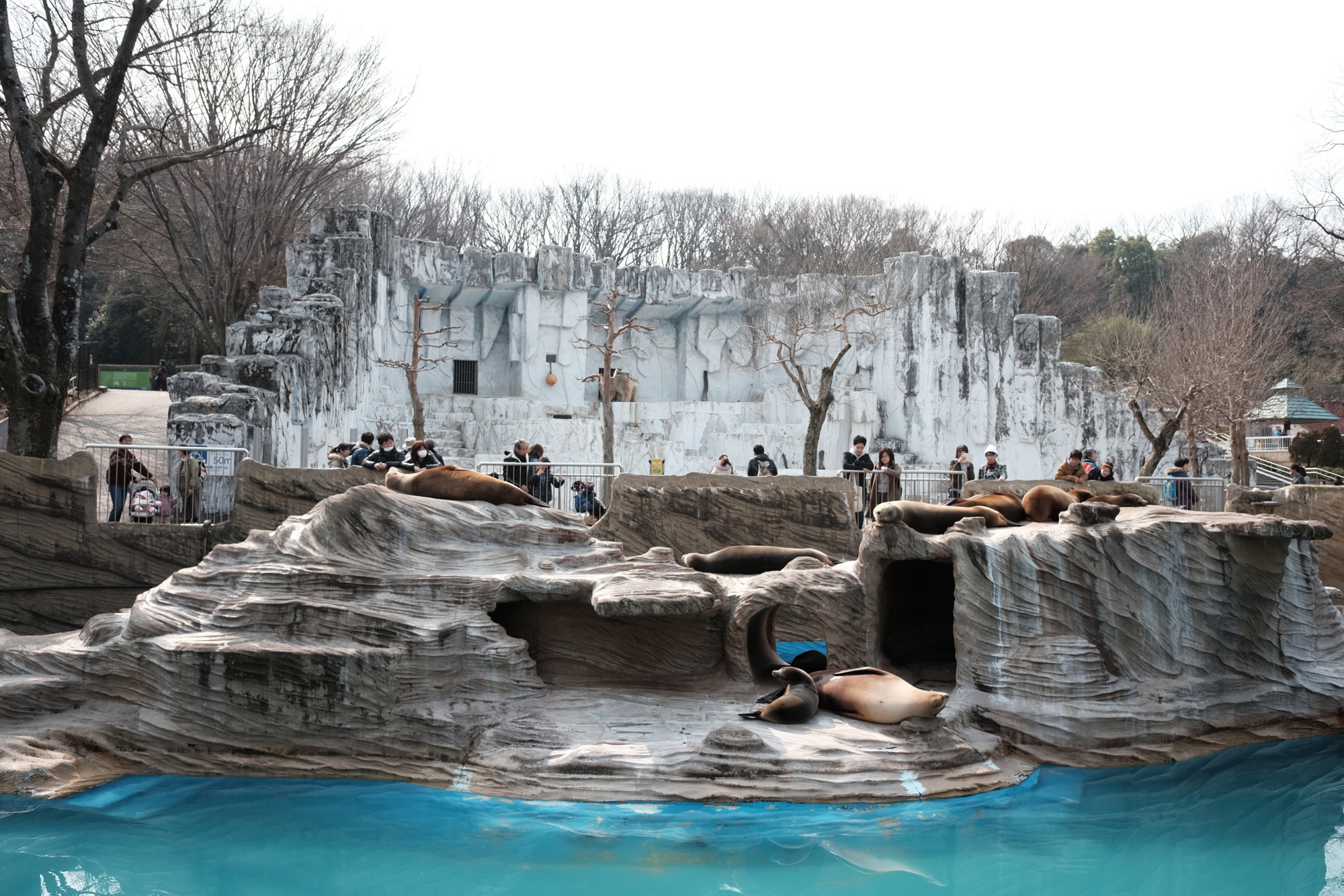 f:id:jun77770:20160227124453j:plain