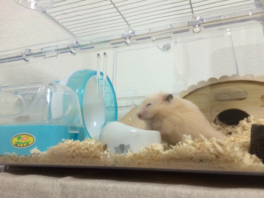 f:id:june29:20150927200526j:plain f:id:june29:20150927200526j:plain