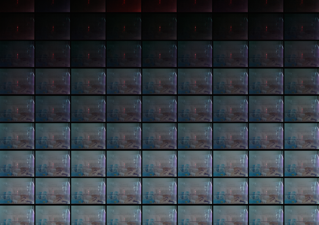 f:id:june29:20150927210220p:plain f:id:june29:20150927210220p:plain