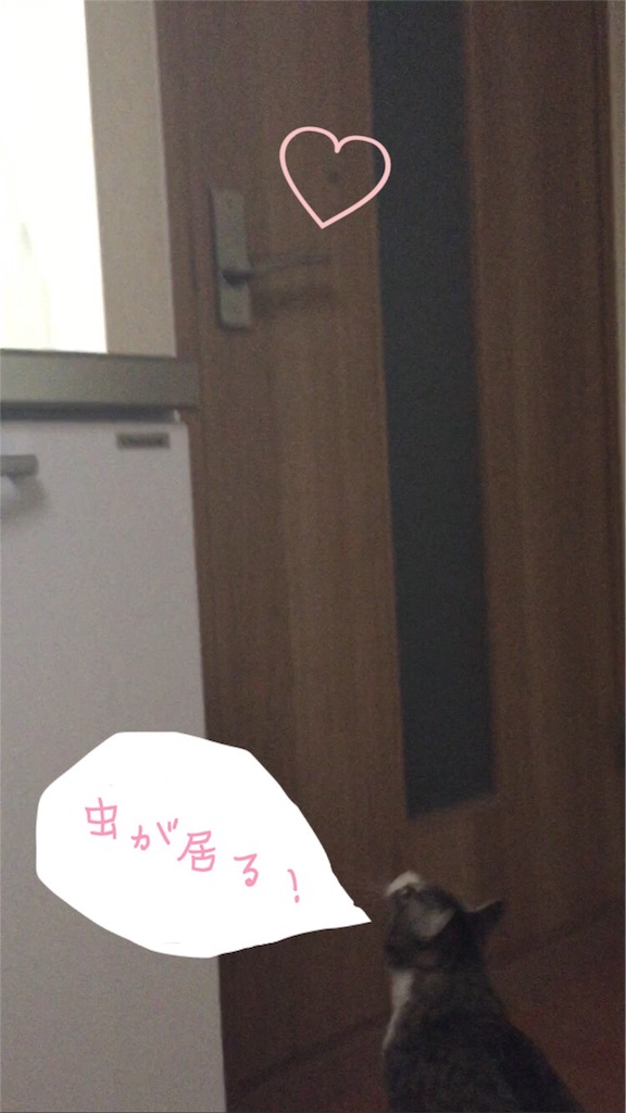 f:id:jurianachance777:20160422190915j:image f:id:jurianachance777:20160422190915j:image