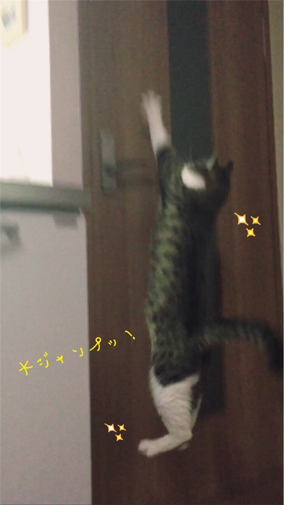 f:id:jurianachance777:20160422191052j:image f:id:jurianachance777:20160422191052j:image