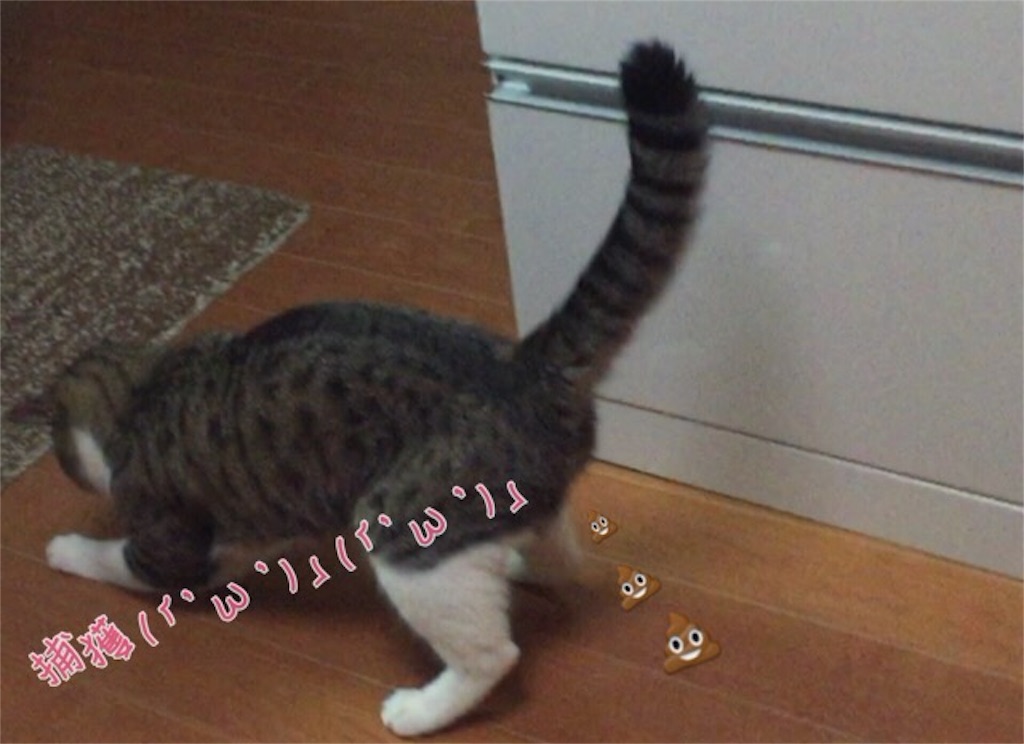 f:id:jurianachance777:20160422191233j:image f:id:jurianachance777:20160422191233j:image