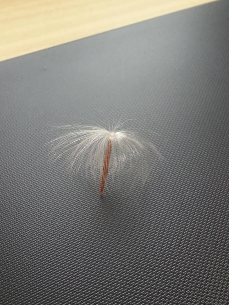 f:id:jusanbutsu:20141217151956j:plain f:id:jusanbutsu:20141217151956j:plain