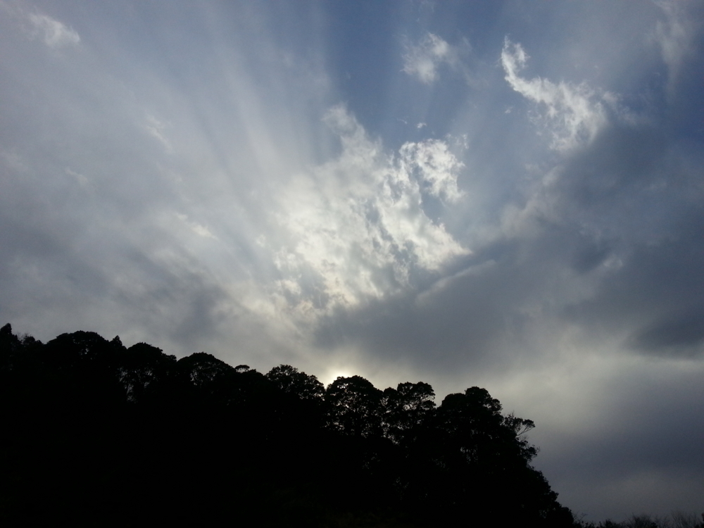 f:id:jusanbutsu:20150213163347j:plain f:id:jusanbutsu:20150213163347j:plain