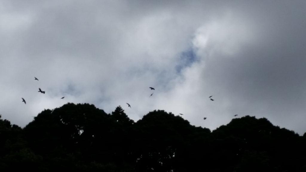 f:id:jusanbutsu:20150823134253j:plain f:id:jusanbutsu:20150823134253j:plain