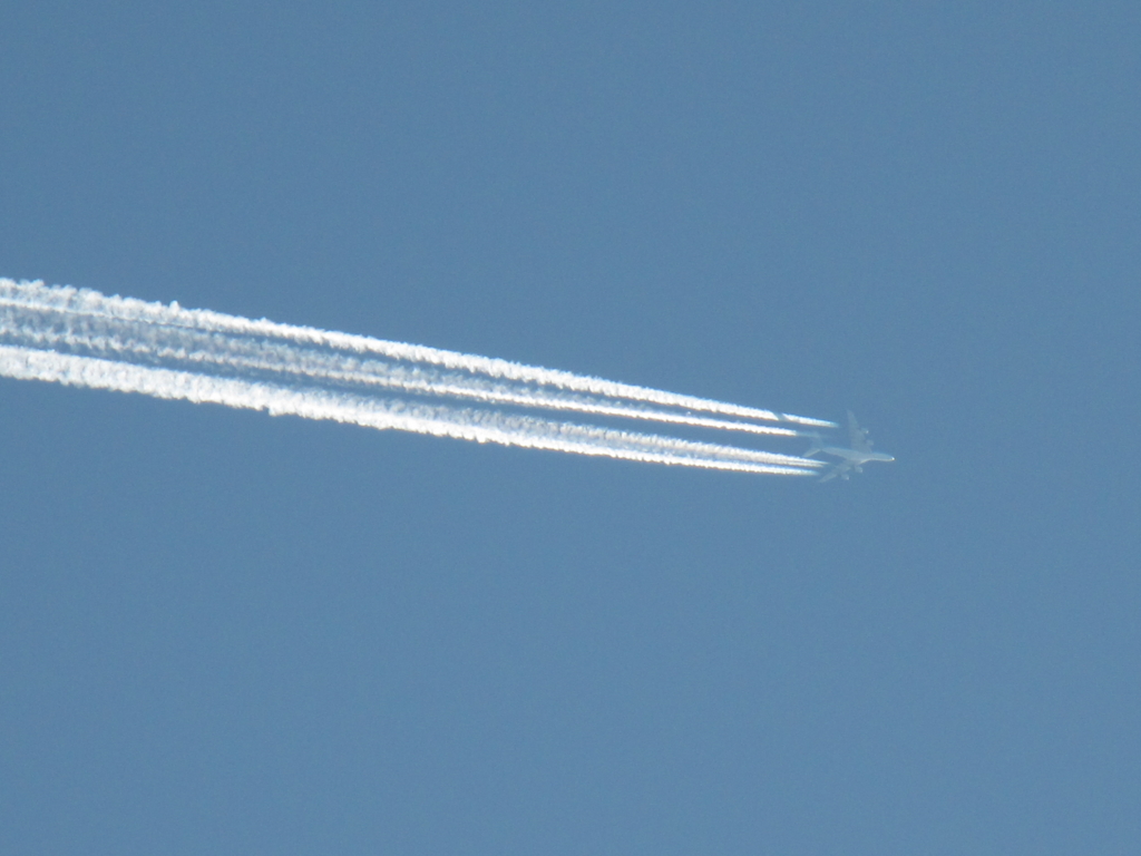 f:id:jusanbutsu:20151106170416j:plain