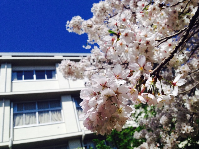 f:id:jyankshon:20150426133212j:image f:id:jyankshon:20150426133212j:image