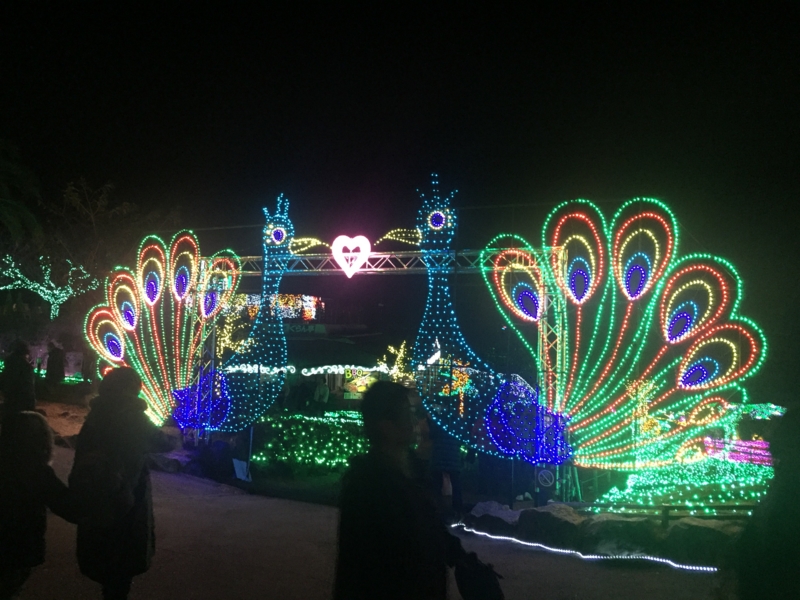 f:id:jyankshon:20151210173038j:plain f:id:jyankshon:20151210173038j:plain