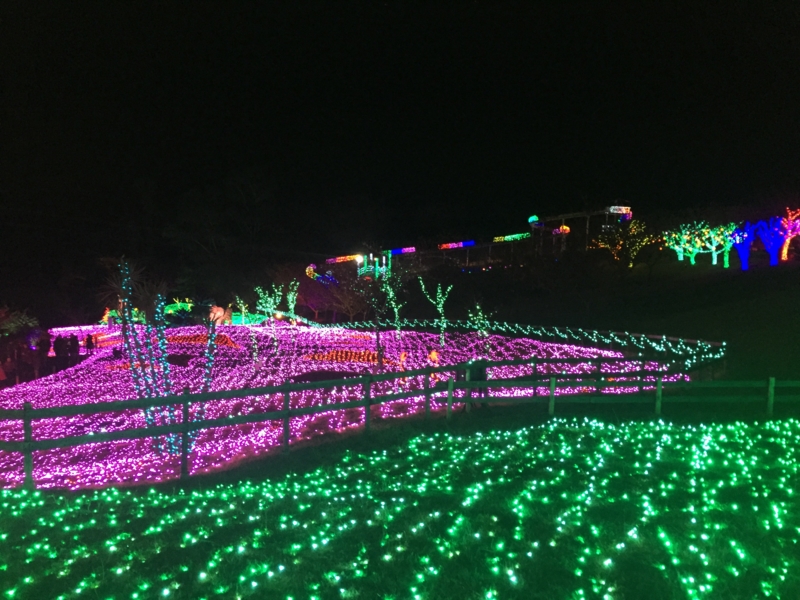 f:id:jyankshon:20151210173042j:plain f:id:jyankshon:20151210173042j:plain