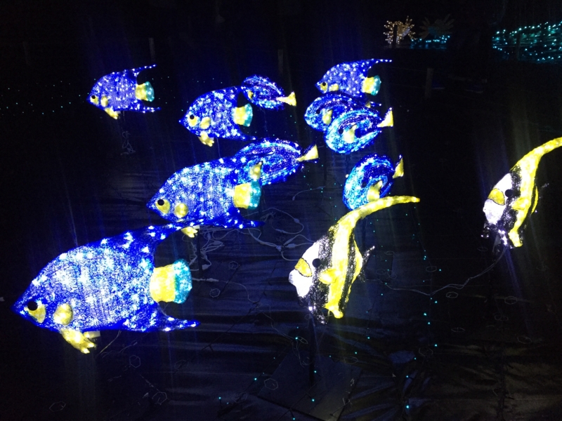 f:id:jyankshon:20151210173103j:plain f:id:jyankshon:20151210173103j:plain