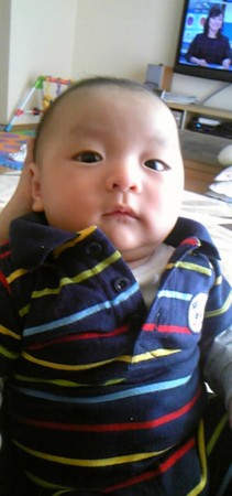 f:id:jyukutyo:20111114091600j:image