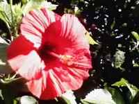 f:id:jyunrei:20070927063008j:image f:id:jyunrei:20070927063008j:image