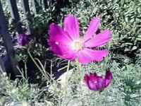 f:id:jyunrei:20070927063128j:image f:id:jyunrei:20070927063128j:image