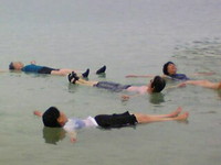 f:id:jyunrei:20080412170208j:image f:id:jyunrei:20080412170208j:image