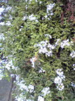 f:id:jyunrei:20090904225610j:image f:id:jyunrei:20090904225610j:image