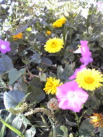 f:id:jyunrei:20091029210350j:image f:id:jyunrei:20091029210350j:image