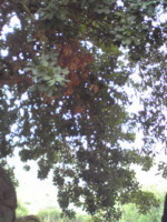 f:id:jyunrei:20111106000356j:image f:id:jyunrei:20111106000356j:image