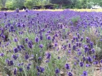 f:id:jyunrei:20120719090625j:image f:id:jyunrei:20120719090625j:image