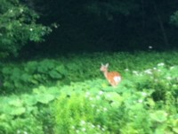 f:id:jyunrei:20120719180800j:image f:id:jyunrei:20120719180800j:image