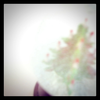 f:id:k-note:20120806143811j:image f:id:k-note:20120806143811j:image