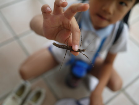 f:id:k-rose:20131002093832j:image