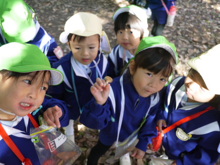 f:id:k-rose:20131119104444j:image