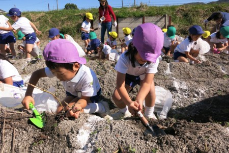 f:id:k-rose:20141029222359j:image f:id:k-rose:20141029222359j:image