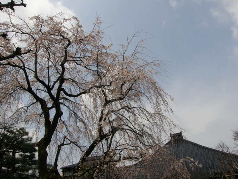f:id:k10no3:20080403113556j:image:w560 f:id:k10no3:20080403113556j:image:w560