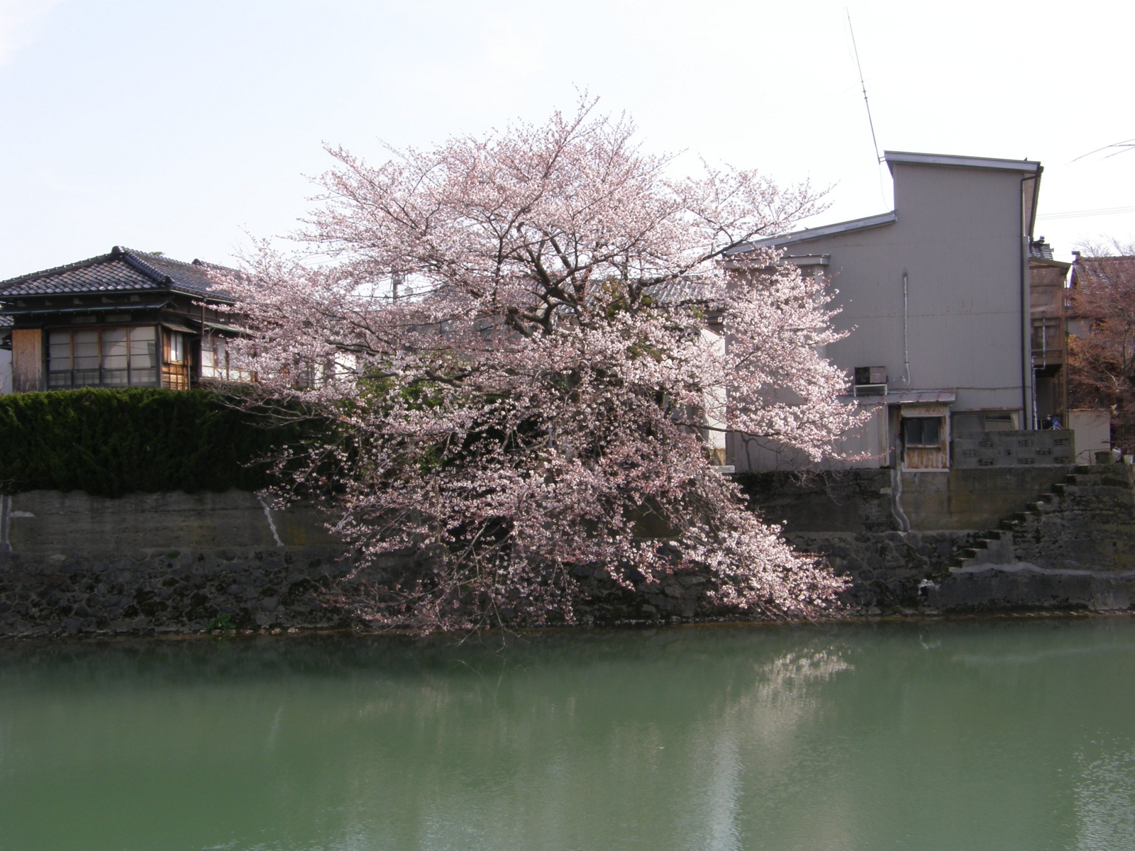 f:id:k10no3:20080405094618j:image:w279 f:id:k10no3:20080405094618j:image:w279