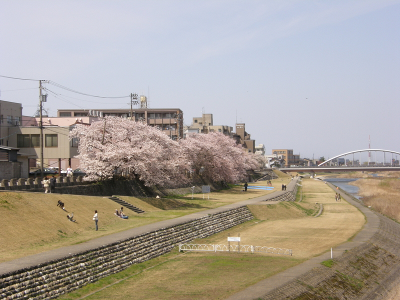 f:id:k10no3:20080405115515j:image:w279 f:id:k10no3:20080405115515j:image:w279