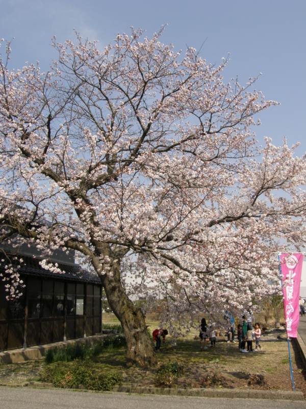 f:id:k10no3:20080406140811j:image:w420 f:id:k10no3:20080406140811j:image:w420