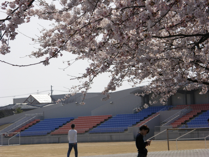 f:id:k10no3:20080406141416j:image:w560 f:id:k10no3:20080406141416j:image:w560