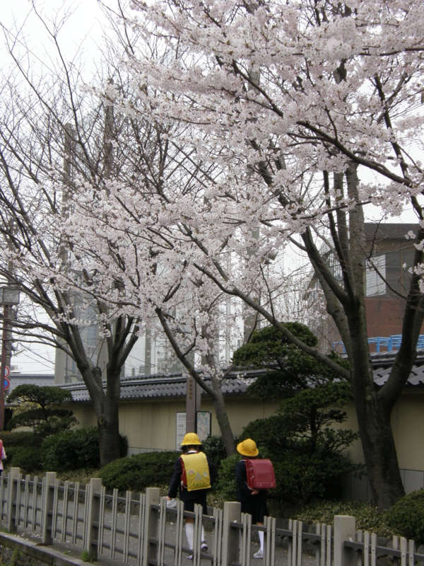 f:id:k10no3:20080407123335j:image:w279 f:id:k10no3:20080407123335j:image:w279