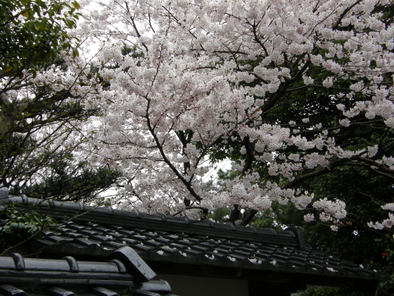 f:id:k10no3:20080407124027j:image:w520 f:id:k10no3:20080407124027j:image:w520
