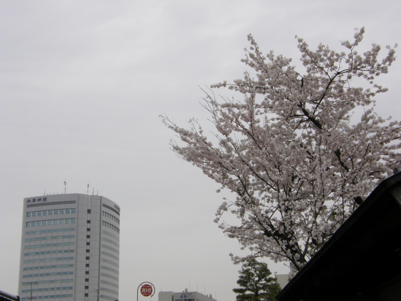 f:id:k10no3:20080407124616j:image:w560 f:id:k10no3:20080407124616j:image:w560