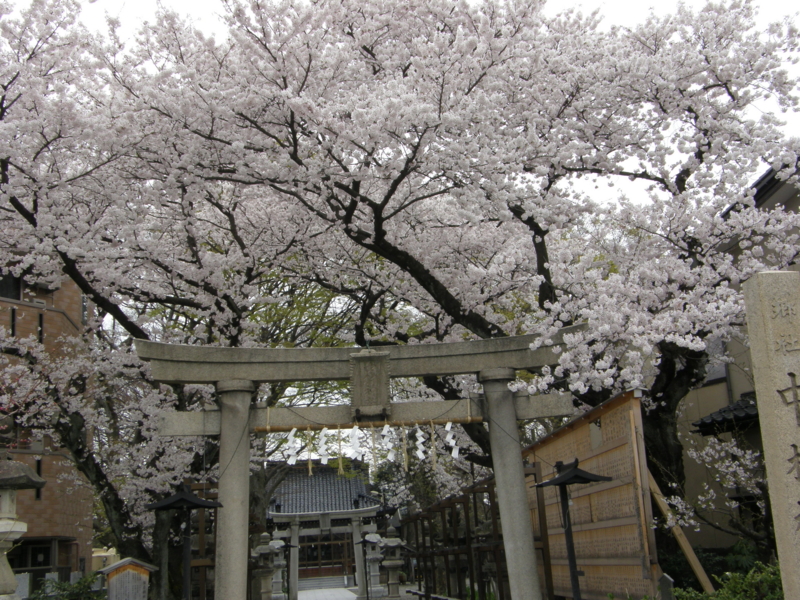 f:id:k10no3:20080407130549j:image:w560 f:id:k10no3:20080407130549j:image:w560