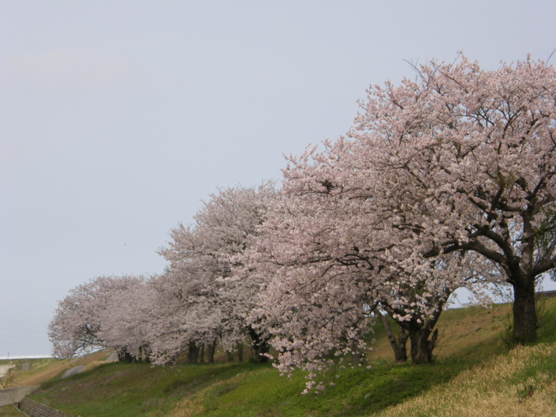 f:id:k10no3:20080412102556j:image:w560 f:id:k10no3:20080412102556j:image:w560