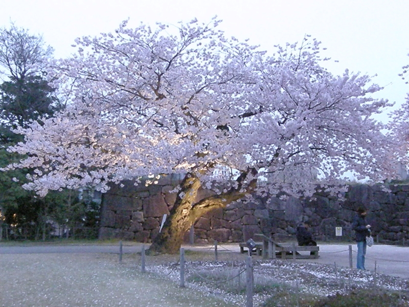 f:id:k10no3:20080412184106j:image:w560 f:id:k10no3:20080412184106j:image:w560